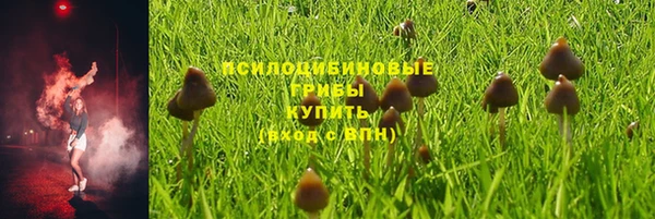 дмт Михайлов