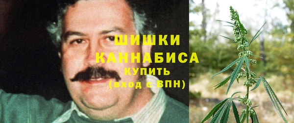 первитин Надым