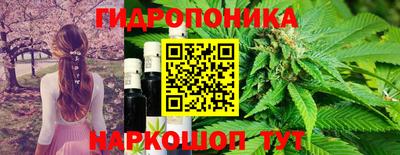 спиды Бийск