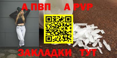 спиды Бийск