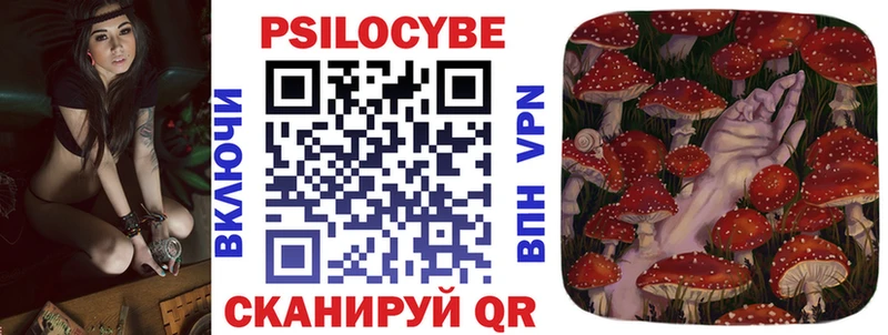 Псилоцибиновые грибы Psilocybine cubensis  Губкин 
