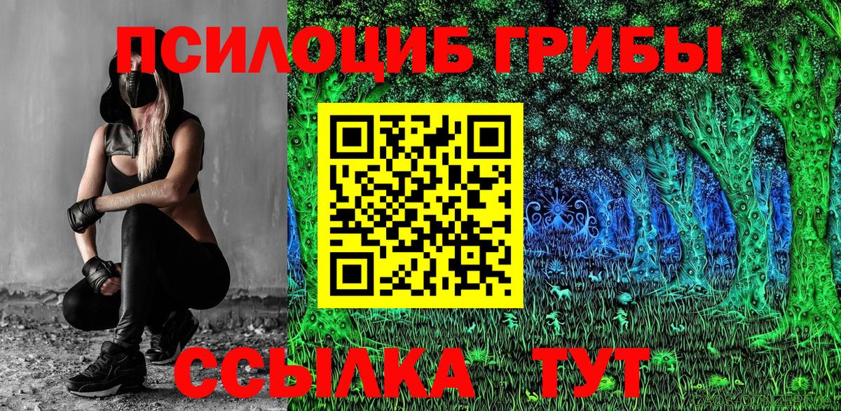 Галлюциногенные грибы Psilocybe Губкин