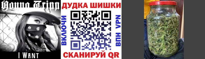 KRAKEN сайт  наркошоп  Губкин  нарко площадка состав  Конопля SATIVA & INDICA 